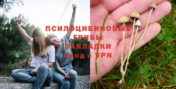 не бодяженный Михайлов