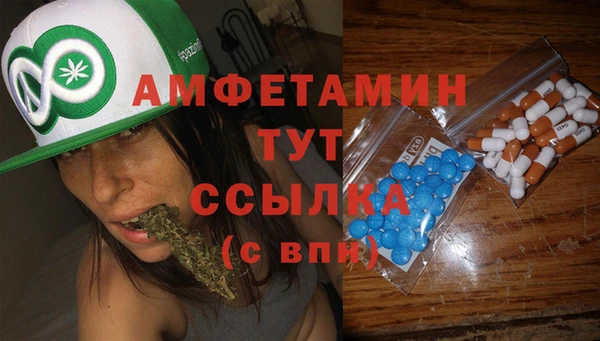 гашик Надым