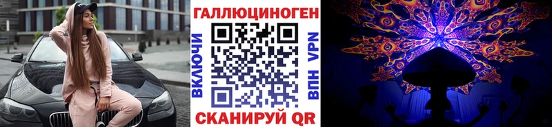 Галлюциногенные грибы Cubensis  закладки  кракен рабочий сайт  Нариманов 