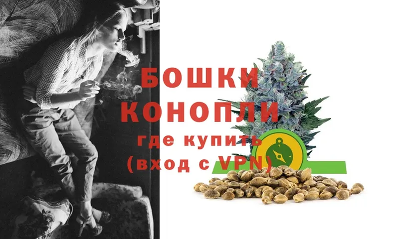 наркотики  Нариманов  Канабис OG Kush 